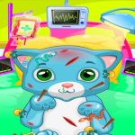 ASMR Cat Doctor Clinic