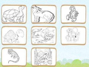 Desert Animals Coloring Book