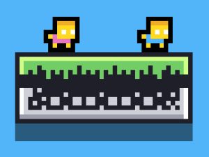 FlapFlat Twins