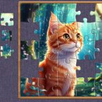 Fragments of Wonder