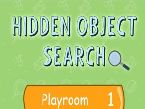 Hidden Object Search