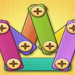 Screw Puzzle DIY